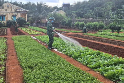 Cán bộ, chiến sĩ Đồn Biên phòng Ia Nan (huyện Đức Cơ) tăng gia sản xuất. Ảnh: T.D