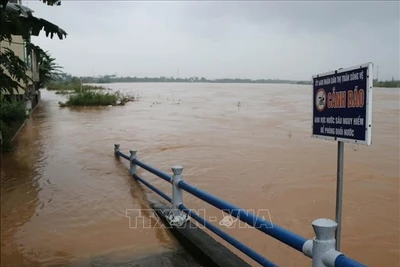 Quảng Ngãi: Lũ trên sông Trà Câu vượt mức báo động 3, cảnh báo ngập lụt nhiều vùng trong đêm