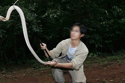 Đừng biến 'thú cưng' thành hiểm họa
