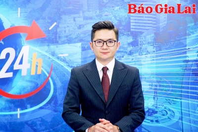 Gia Lai 24h: Cần quản lý chặt nguồn gốc giống cà phê