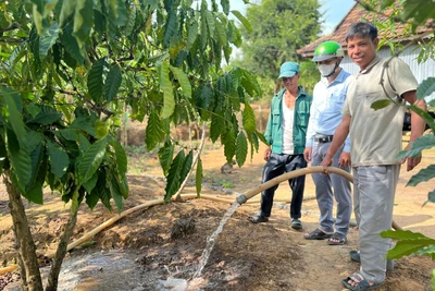 Nhờ mạnh dạn chuyển đổi cây trồng, cuộc sống gia đình ông Siu Nhin (bìa phải, làng Doch 2, xã Ia Kreng, huyện Chư Păh) ngày càng cải thiện. Ảnh: Đ.Y