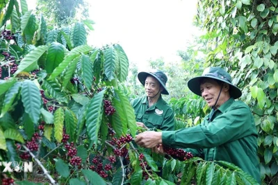 Đắk Lắk sẵn sàng cho Lễ hội cà phê Buôn Ma Thuột lần thứ 9 năm 2025