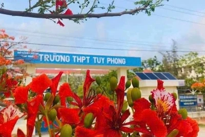 Làm rõ thông tin thầy giáo cấp 3 'quan hệ bất chính khiến nữ sinh mang thai'