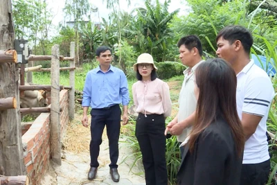 Điểm tựa giúp hội viên nông dân phát triển sản xuất