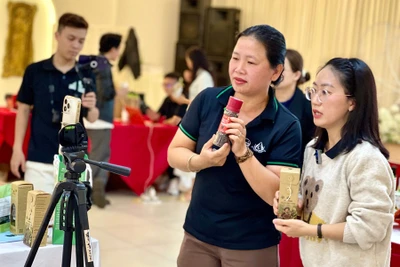 Chị Hồ Thị Hoài Thu (bìa phải) tham gia chương trình tập huấn, tiếp cận hình thức livestream bán hàng trên các nền tảng số. Ảnh: H.H