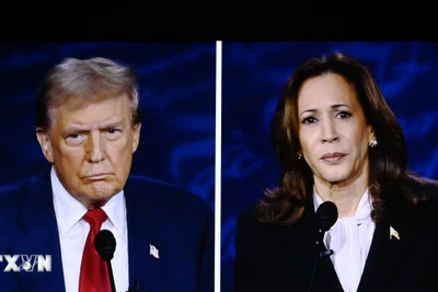 Bà Kamala Harris dẫn trước ông Donald Trump 4 điểm trong số các cử tri tiềm năng