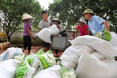 Hỗ trợ gạo cho 7 địa phương dịp Tết Nguyên đán Ất Tỵ. Ảnh minh họa. Nguồn baochinhphu.vn