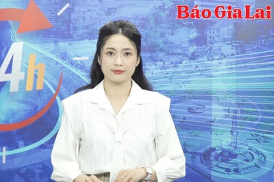 Gia Lai 24h: Gỡ khó về vốn giúp hợp tác xã mở rộng sản xuất kinh doanh