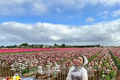 Người Việt lạc lối giữa cánh đồng hoa tulip như cổ tích ở Hà Lan