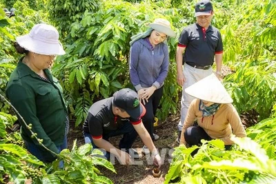 Đắk Nông công nhận 3 vùng sản xuất nông sản tập trung, ứng dụng công nghệ cao