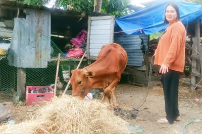 Chị Siu H’Jeo (buôn Rưng Ma Nin, xã Ia Rbol) vui mừng được CLB trao bò sinh sản để chăn nuôi nhằm cải thiện thu nhập. Ảnh: K.H