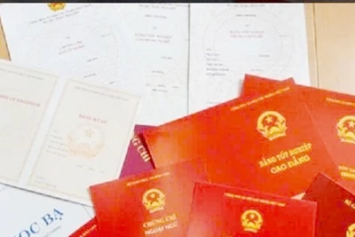 15 giáo viên ở Bắc Giang mua bằng cao đẳng và đại học giả để thi tuyển