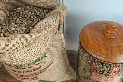 Giá cà phê hôm nay 6-4: Sẽ 'sụp' đến khi nào? 