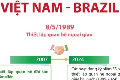 Quan hệ Đối tác Chiến lược giữa Việt Nam và Brazil