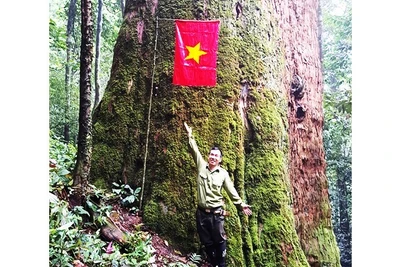 Đến với 'kho vàng' trên mù mây