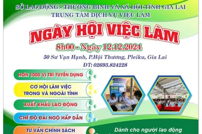 Sở Lao động-Thương binh và Xã hội tỉnh Gia Lai, Trung tâm dịch vụ việc làm