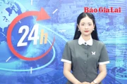 Gia Lai 24h: Cơ quan Ủy ban Mặt trận Tổ quốc Việt Nam tỉnh Gia Lai (mới) dự kiến có 10 ban