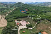 Ứng dụng khoa học công nghệ để tìm kiếm, quy tập hài cốt liệt sĩ tại đồi Xuân Sơn