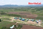 Ổn định dân cư, phát triển bền vững