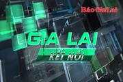 Bản tin Gia Lai kết nối ngày 11-6-2025