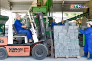 Toàn cảnh Gia Lai 24h: Quyết liệt thực hiện các giải pháp tăng trưởng trong những tháng cuối năm