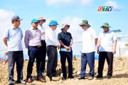 Điểm tin trưa: Đôn đốc khởi công đồng loạt các dự án chăn nuôi heo trong tháng 6