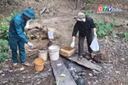 Điểm tin trưa: Gia Lai tăng cường giám sát, phòng chống bệnh Whitmore