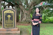 Cây đa di sản làng Ghè