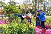 Toàn cảnh Gia Lai 24h: Chợ hoa giáp Tết-Sắc xuân vẫn rực, sức mua trầm hơn