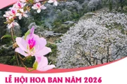 Lễ hội Hoa Ban năm 2026: Điểm hẹn mùa Xuân hấp dẫn
