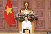 Phó Thủ tướng Hồ Quốc Dũng yêu cầu tăng cường xử lý vi phạm sở hữu trí tuệ