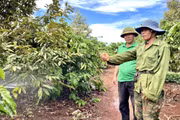 Dữ liệu sản xuất nâng cao sức cạnh tranh nông sản Việt Nam