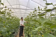 Đẩy mạnh phát triển công nghệ sinh học - Kỳ 2: Khi công nghệ sinh học tạo giá trị từ sản xuất