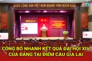 Gia Lai 24h: Tăng cường kiểm soát tải trọng ngay từ đầu nguồn bốc xếp