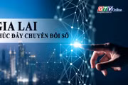 Toàn cảnh Gia Lai 24h: Thúc đẩy chuyển đổi số, hoàn thành gần 55% nhiệm vụ quý I - 2026