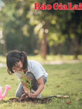 Gia Lai: Môi trường và những "mầm xanh"