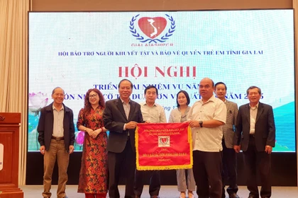 Hội nghị tổng kết công tác năm 2025 và triển khai nhiệm vụ năm 2026 của Hội Bảo trợ Người khuyết tật và Bảo vệ quyền trẻ em tỉnh Gia Lai.