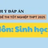 Đáp án đề thi môn Sinh học tốt nghiệp THPT 2025