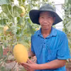 Nông nghiệp sạch nâng tầm giá trị nông sản