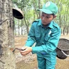 Kpuih HMin: Tuổi trẻ thì phải xung kích