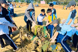 Cán bộ, giáo viên, nhân viên và học sinh của Trường THCS Tam Quan Bắc thu gom rác thải dọc bờ biển sau bão số 13.