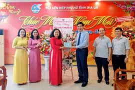 Phó Chủ tịch UBND tỉnh Lâm Hải Giang thăm, chúc mừng Hội LHPN tỉnh Gia Lai nhân dịp 8-3