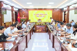 Gia Lai: Đảm bảo tiến độ, chất lượng cuộc Tổng điều tra kinh tế năm 2026