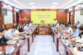 Gia Lai: Đảm bảo tiến độ, chất lượng cuộc Tổng điều tra kinh tế năm 2026