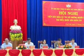 Cử tri mong muốn có chính sách hỗ trợ thanh niên khởi nghiệp tại quê nhà 