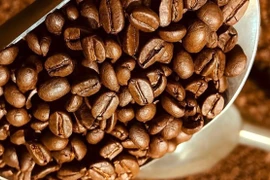 Giá cà phê thế giới đồng loạt tăng, trong nước đi ngang