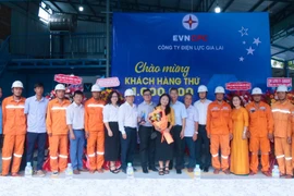 Công ty Điện lực Gia Lai đón khách hàng sử dụng điện thứ 1 triệu