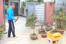 Chuyển đổi số lan tỏa sâu rộng vào đời sống