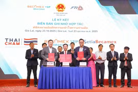 Phát triển khu công nghiệp Becamex VSIP Bình Định theo hướng xanh, bền vững