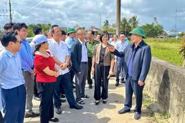 Bí thư Tỉnh ủy Thái Đại Ngọc thăm trang trại chăn nuôi công nghệ cao và kiểm tra quy hoạch khu di tích Tây Sơn Thượng Đạo